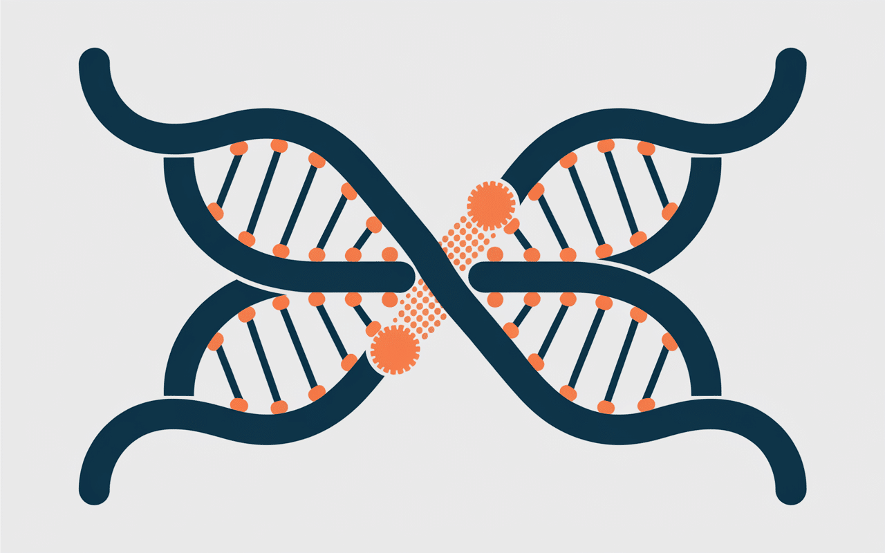 Schéma ADN mutation acheiropodie