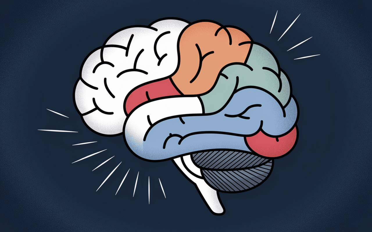 quand le pn a peur de sa proie cerveau émotions anxiété