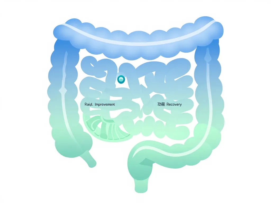 Diagramme phases combien de temps pour reconstituer la flore intestinale