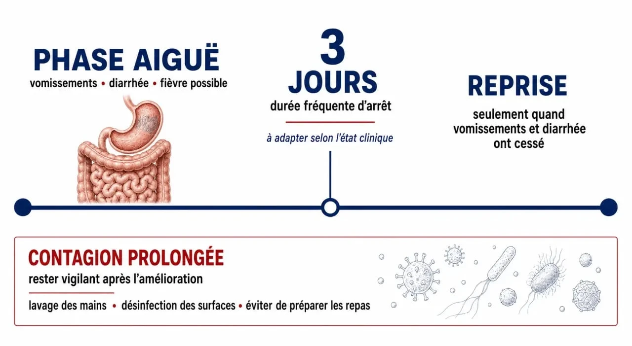Gastro et arret de travail : frise visuelle sur la durée, la reprise et la contagion